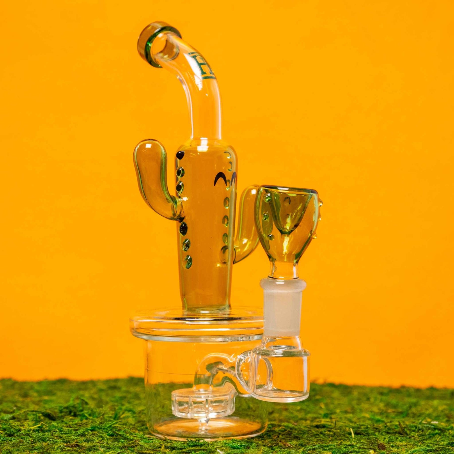 Cactus Bong Hemper