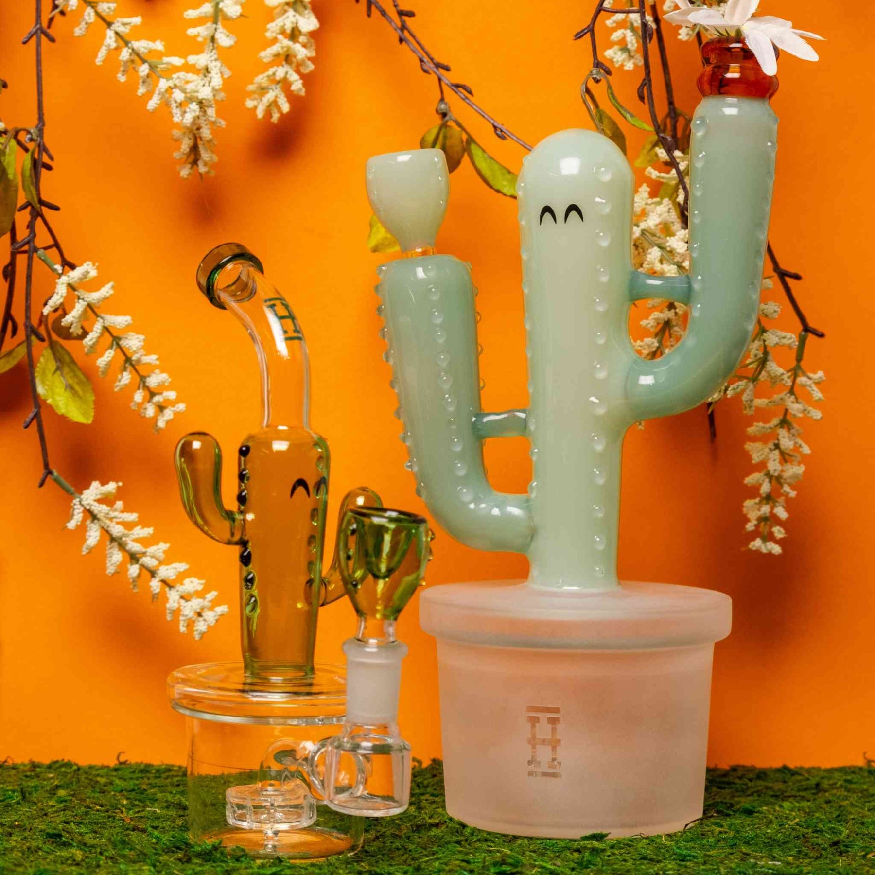 Cactus Bongs