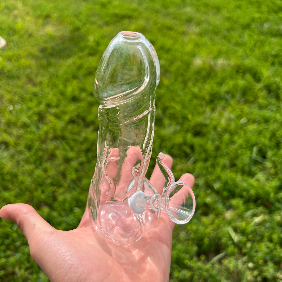 water filtrated penis bong