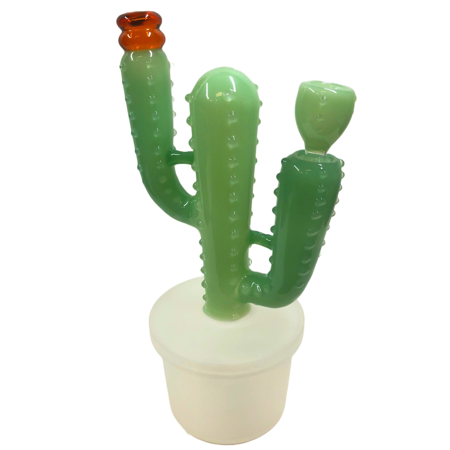Cactus Water Pipe